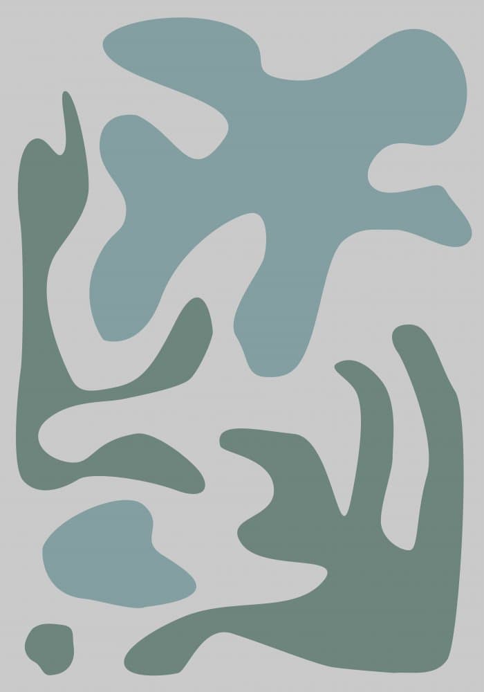Serene Fluid Shapes by Pictufy Studio II — canvas wall art