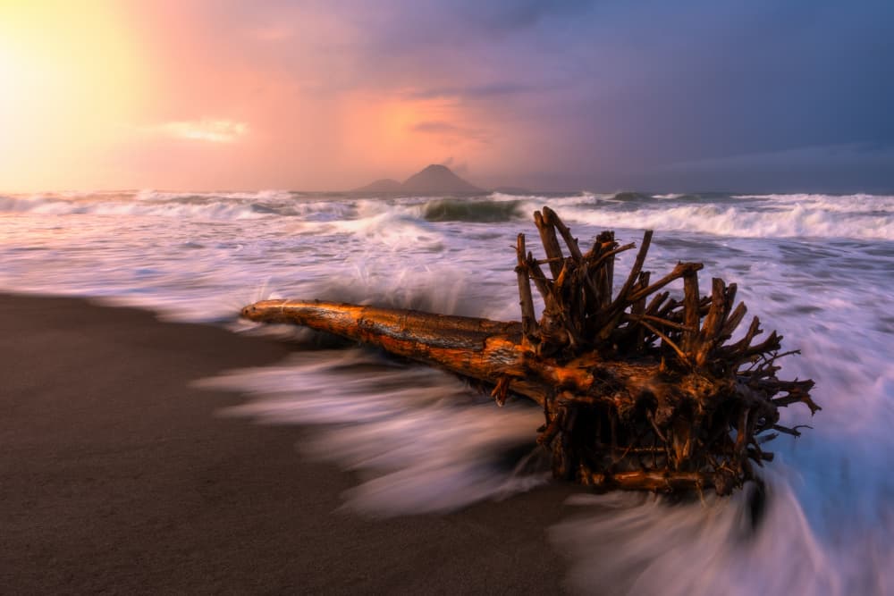 Sunset Beach Driftwood by Jarred Wilson — canvas wall art