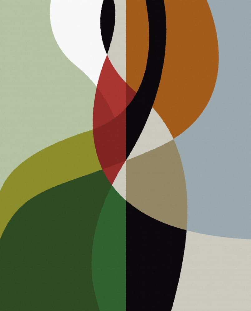 Vibrant Organic Shapes by Rafa Mateo — canvas wall art