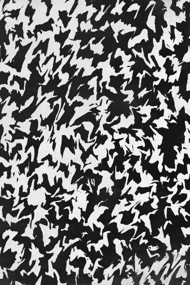 Monochrome Whirl by Treechild — canvas wall art