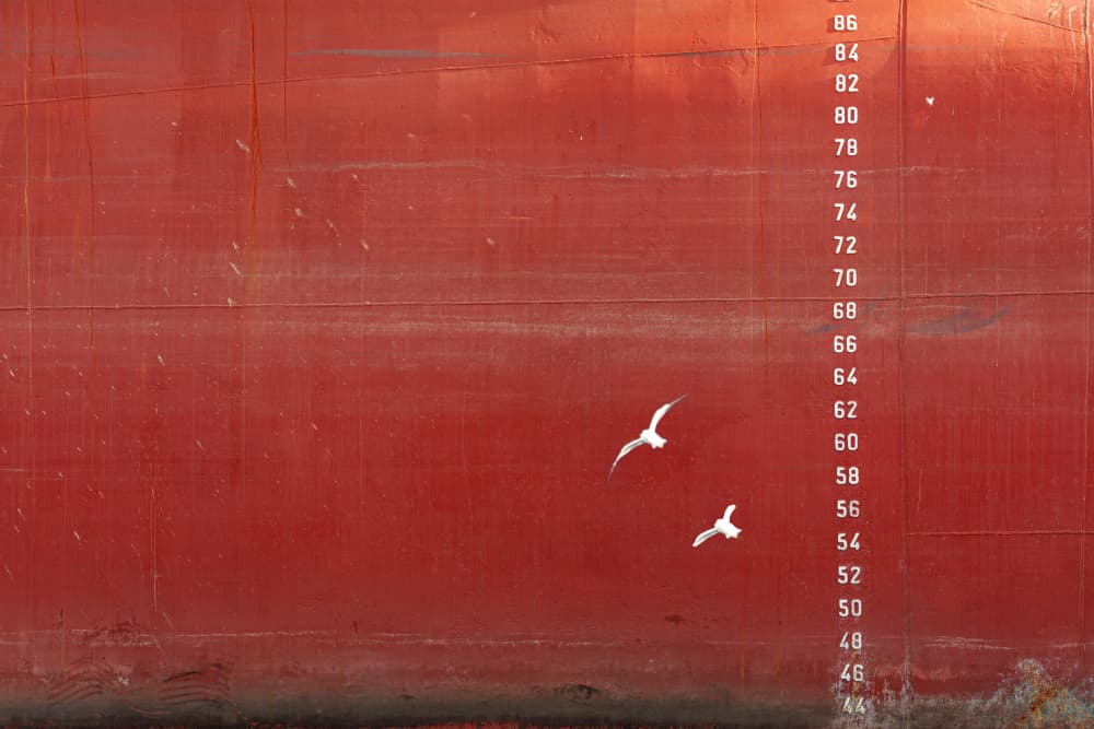 Red Hull Flight by Ramiz Sahin — canvas wall art
