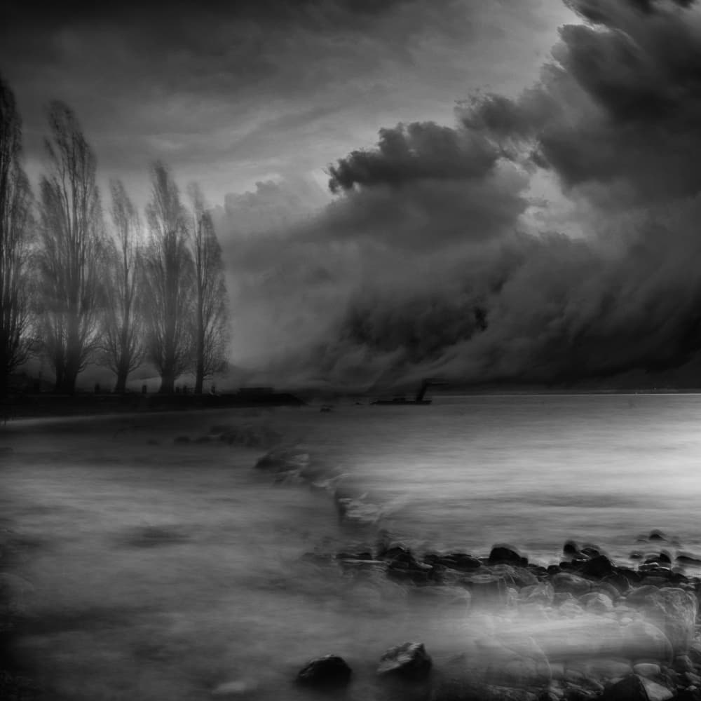 Dark Trees Stormy Lake by VéroniqueS — canvas wall art