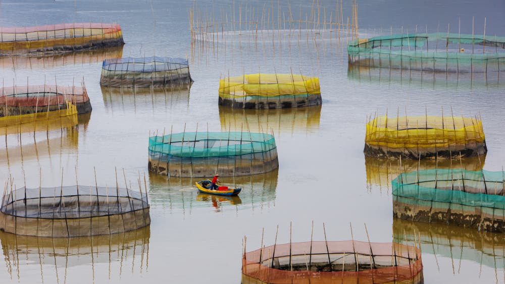 Colorful Floating Fish Farms by Shin Woo Ryu — canvas wall art