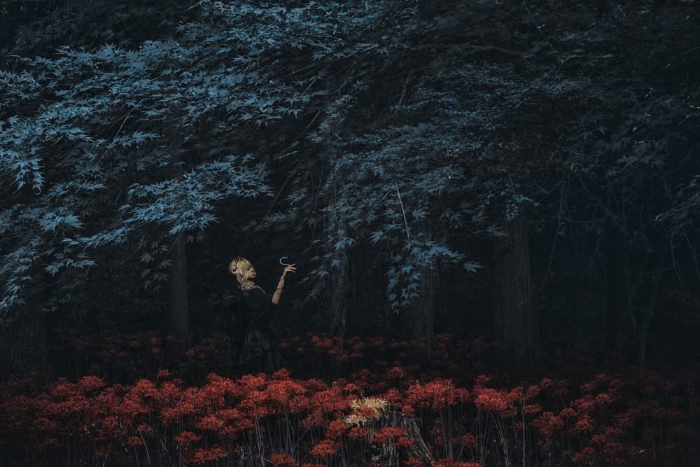 Woman in Red Forest by KOIKI — canvas wall art