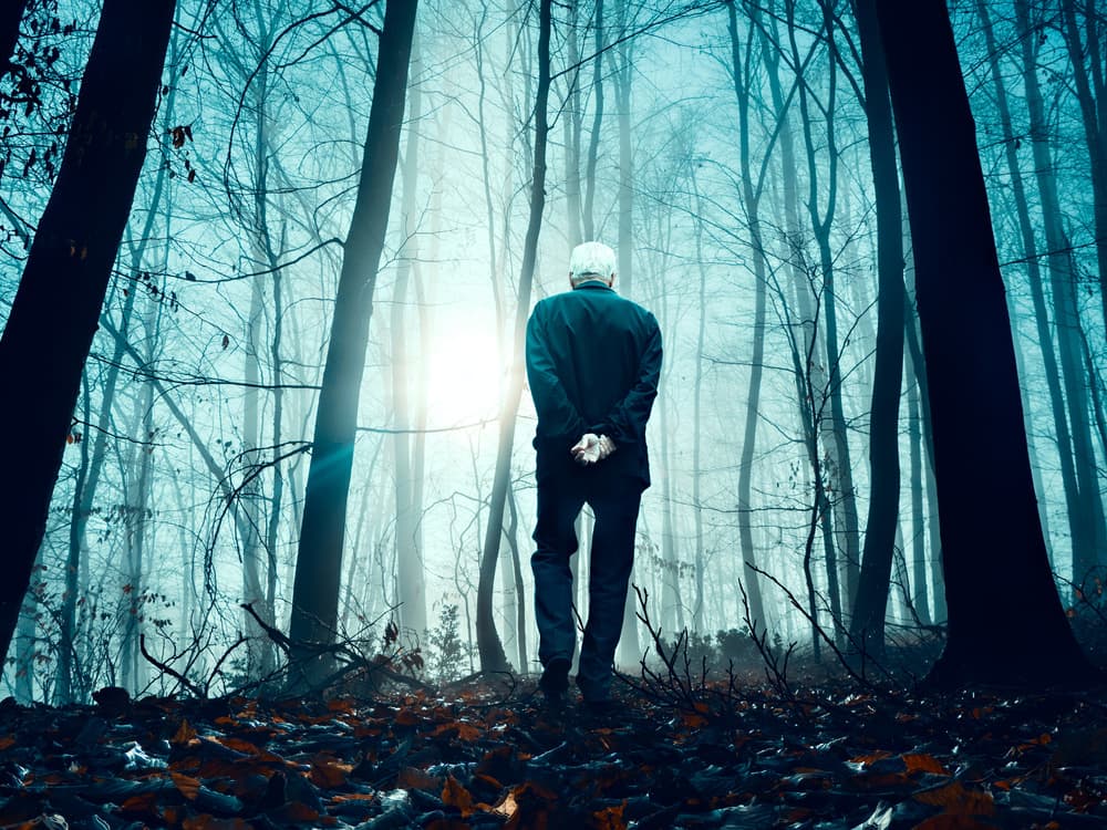 Man in Misty Forest by Nermin Smajić — canvas wall art