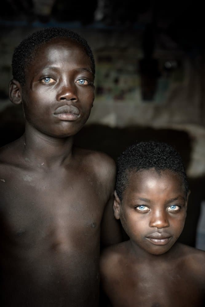 Blue-Eyed Brothers by Trevor Cole — canvas wall art