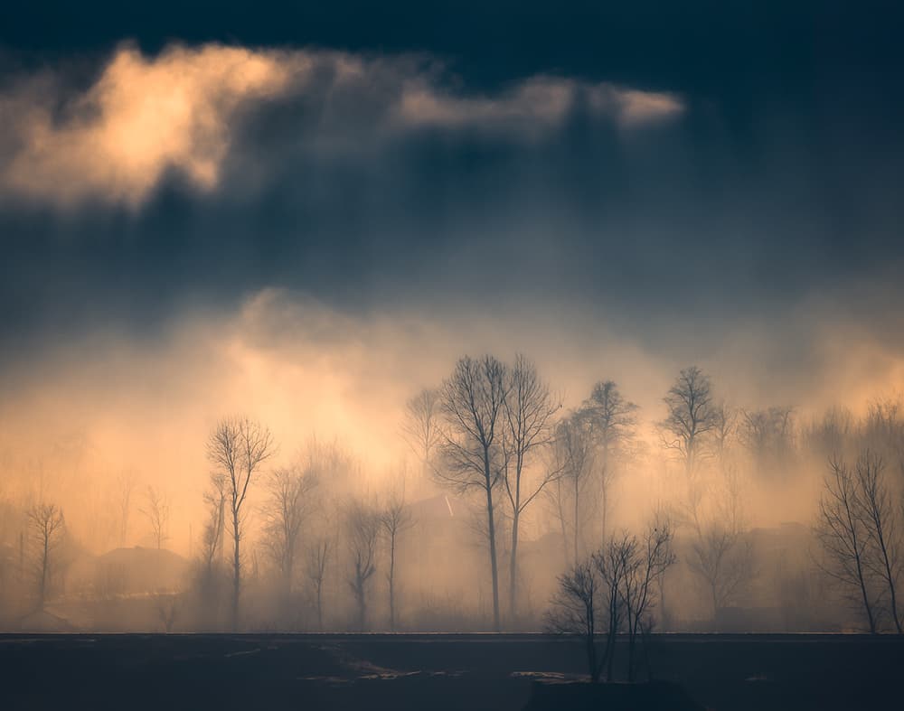 Golden Foggy Morning by Majid Behzad — canvas wall art