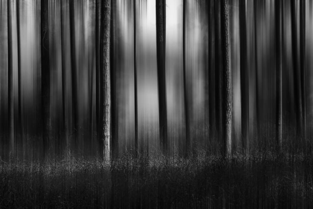 Abstract Forest Lines by Isam Telhami — canvas wall art