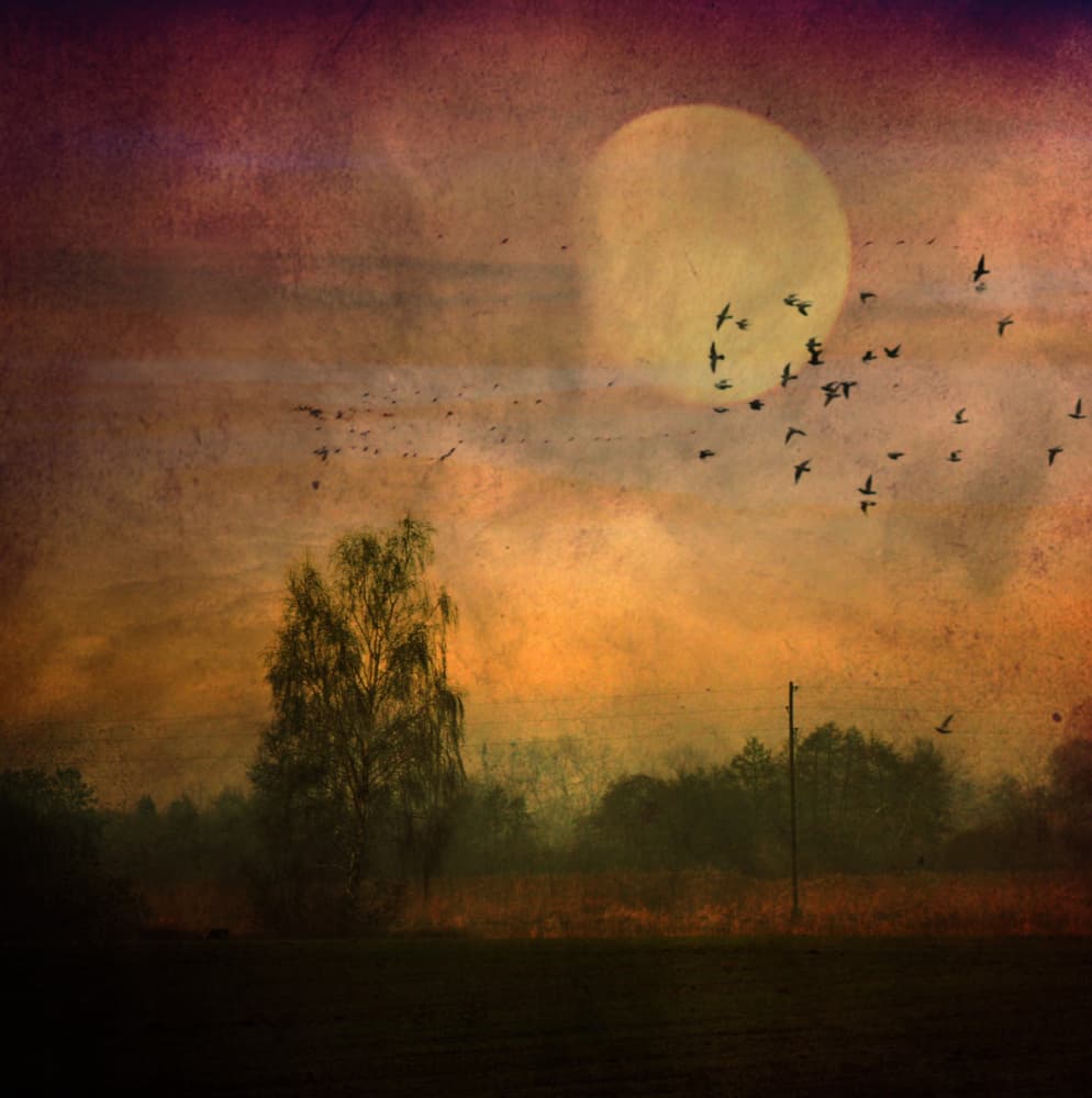 Twilight Moon and Birds by Robert Fabrowski — canvas wall art
