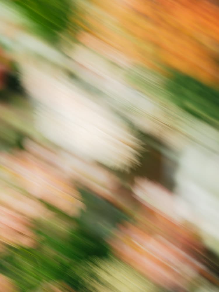 Moving Flowers 9 by Raisa Zwart — canvas wall art