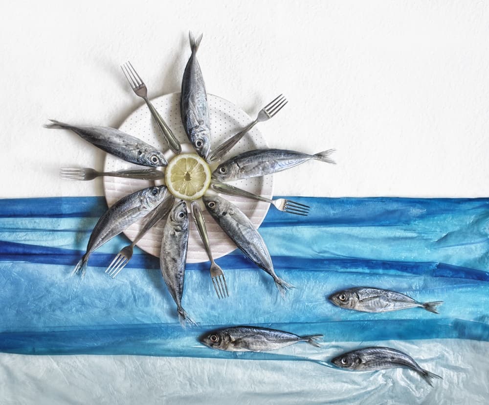 Fresh Fish And Waves by Dimitar Lazarov - Dim — canvas wall art