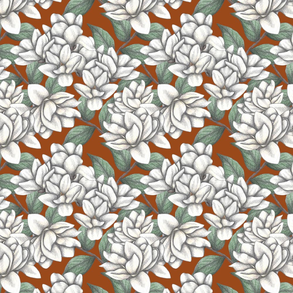 Elegant White Blossoms by Cecilia Battaini — canvas wall art