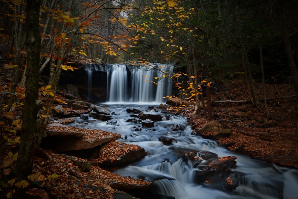 Autumn Forest Waterfall by Rob Li — canvas wall art