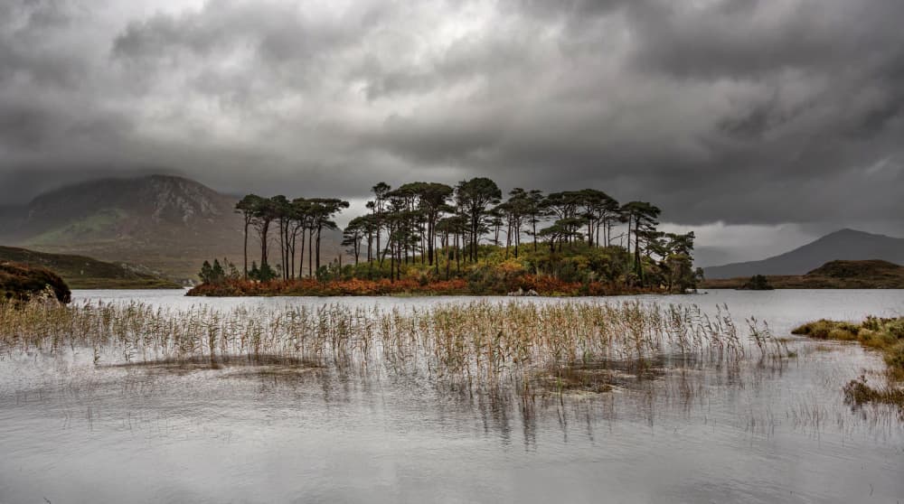 Misty Lake Island by Anne Berger — canvas wall art