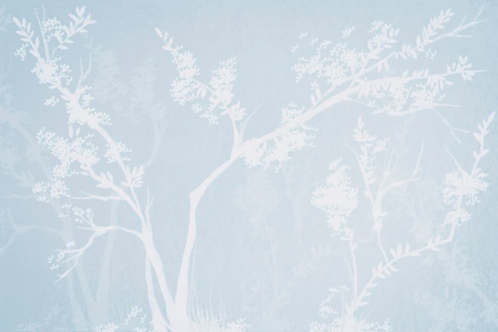 Ethereal White Blossoms by Josie George — canvas wall art