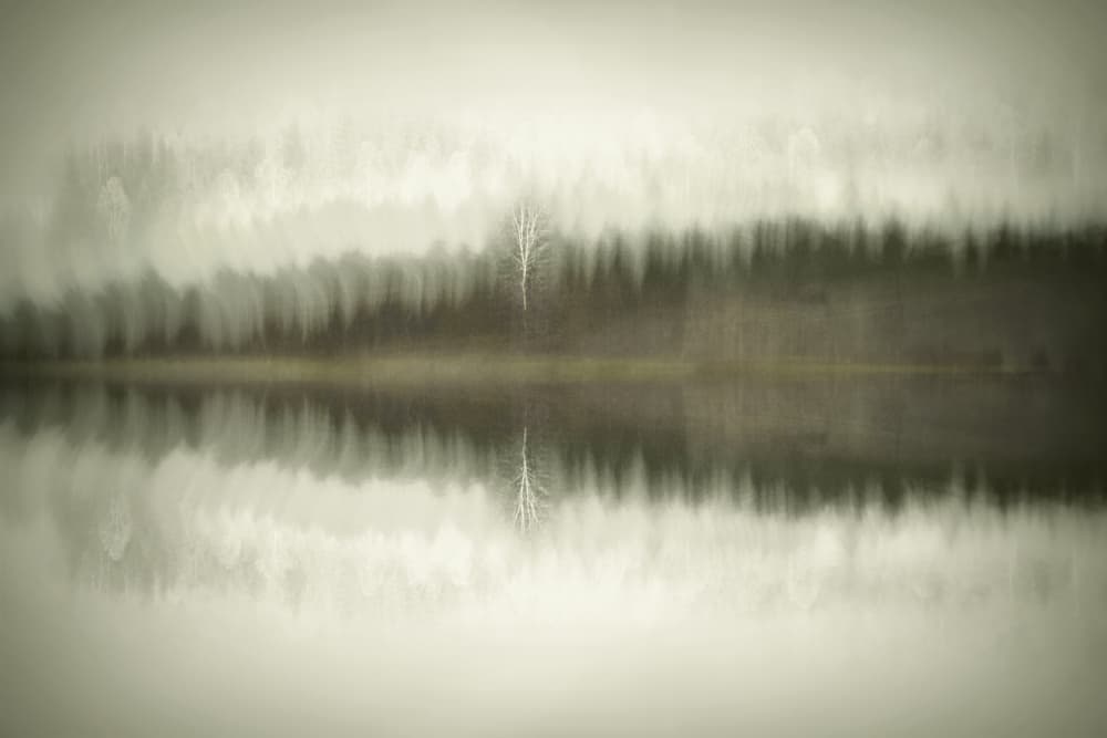 Solitary Birch Lake
