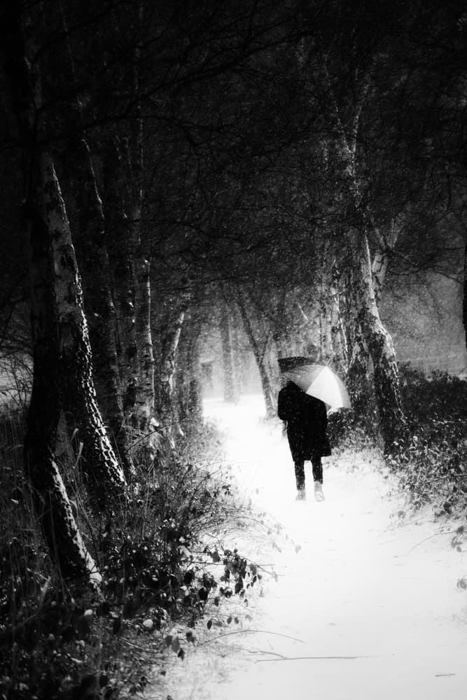 Snowy Path Umbrella by Saskia Dingemans — canvas wall art