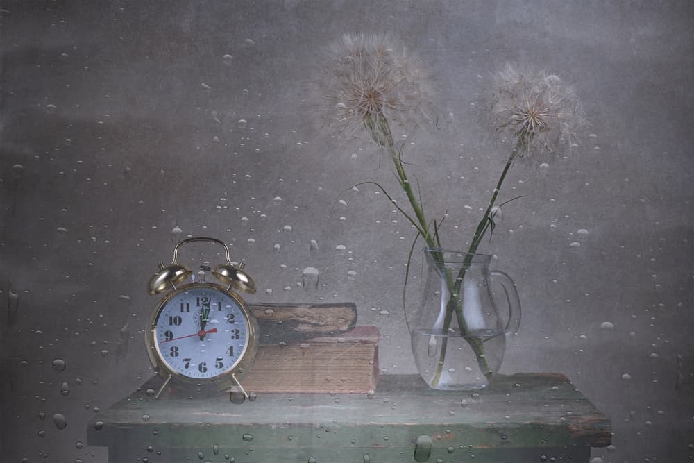 Rainy Day Dandelion Clock by Saleh Swid — canvas wall art