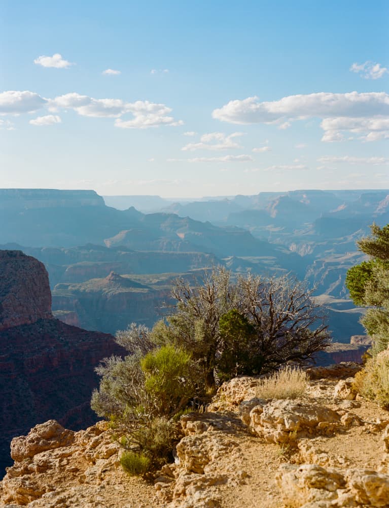 Grand Canyon Overlook by Bethany Young — canvas wall art