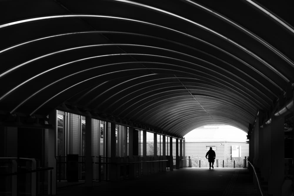 Forward Into Light by HISASHI ISHIKAWA — canvas wall art