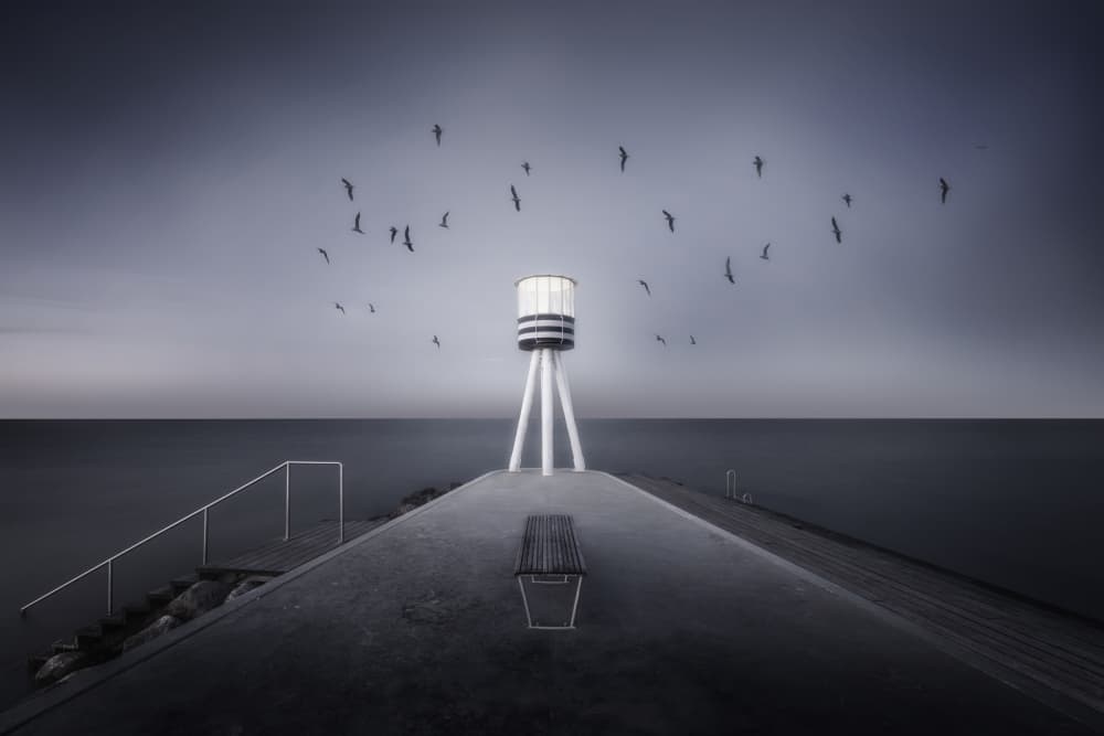 Moody Pier Birds by fotomarion — canvas wall art