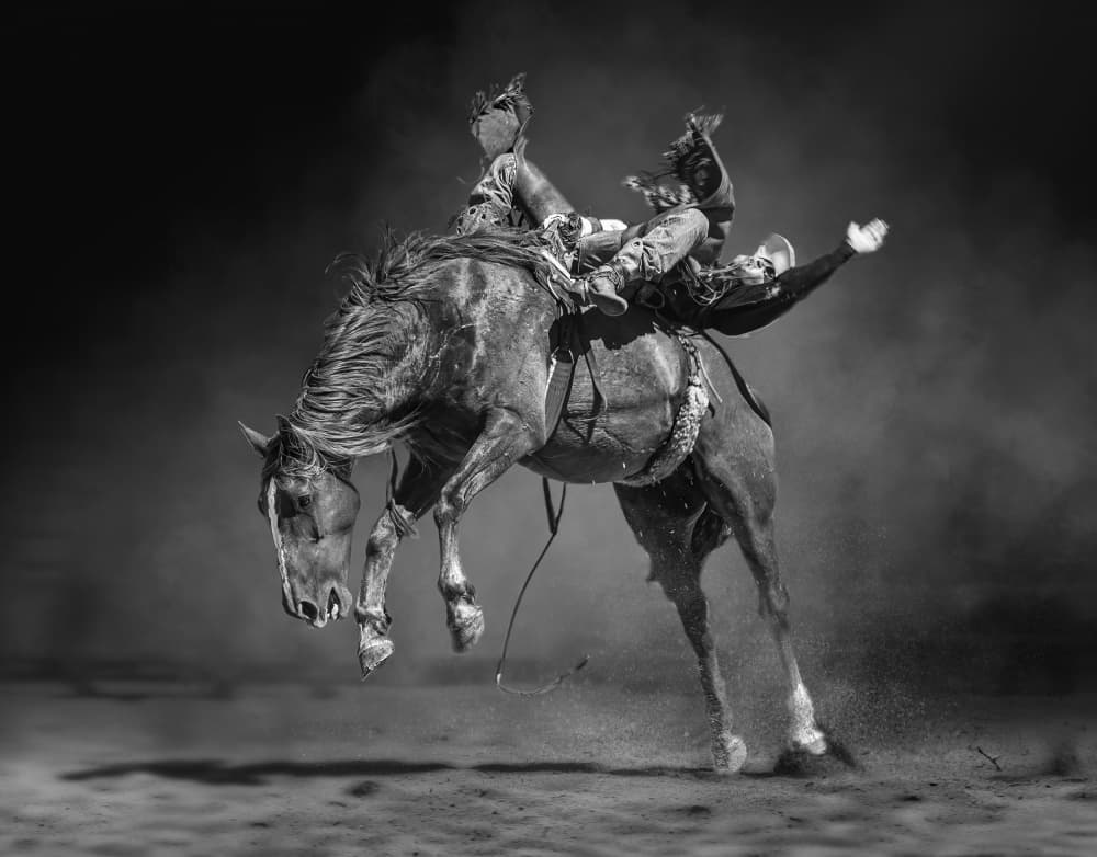 Bucking Bronco Action by Frank Ma — canvas wall art