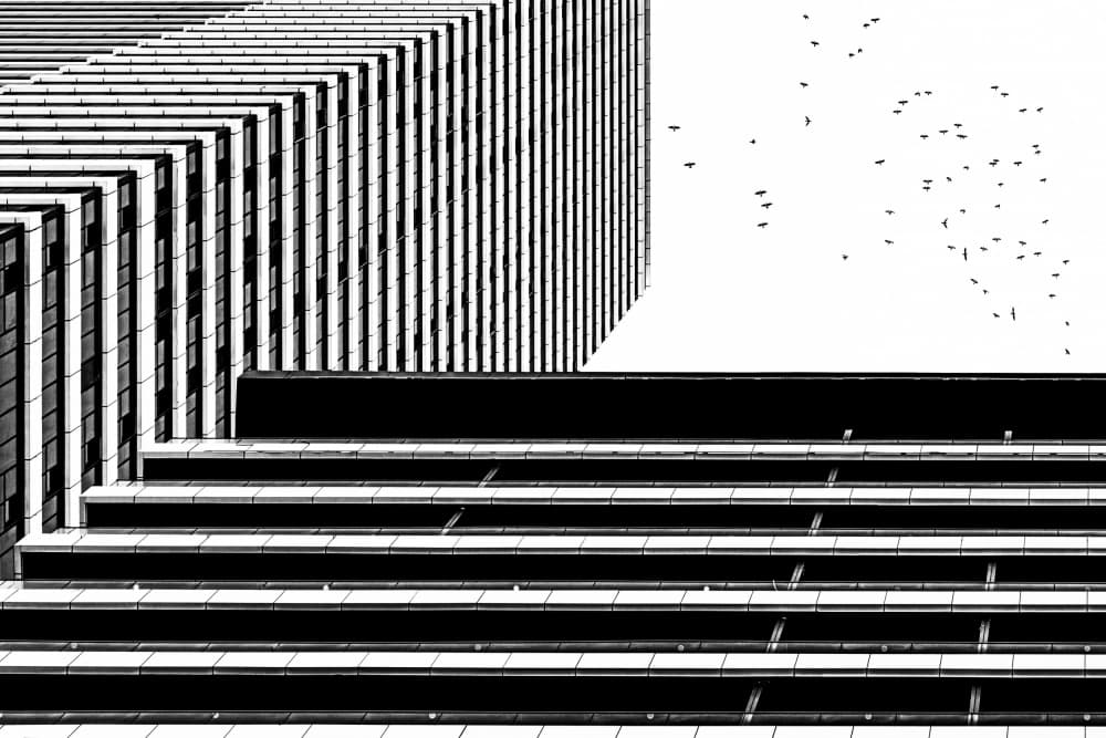 Abstract Building Birds by AMIR ALI NAVADEH SHAHLA — canvas wall art