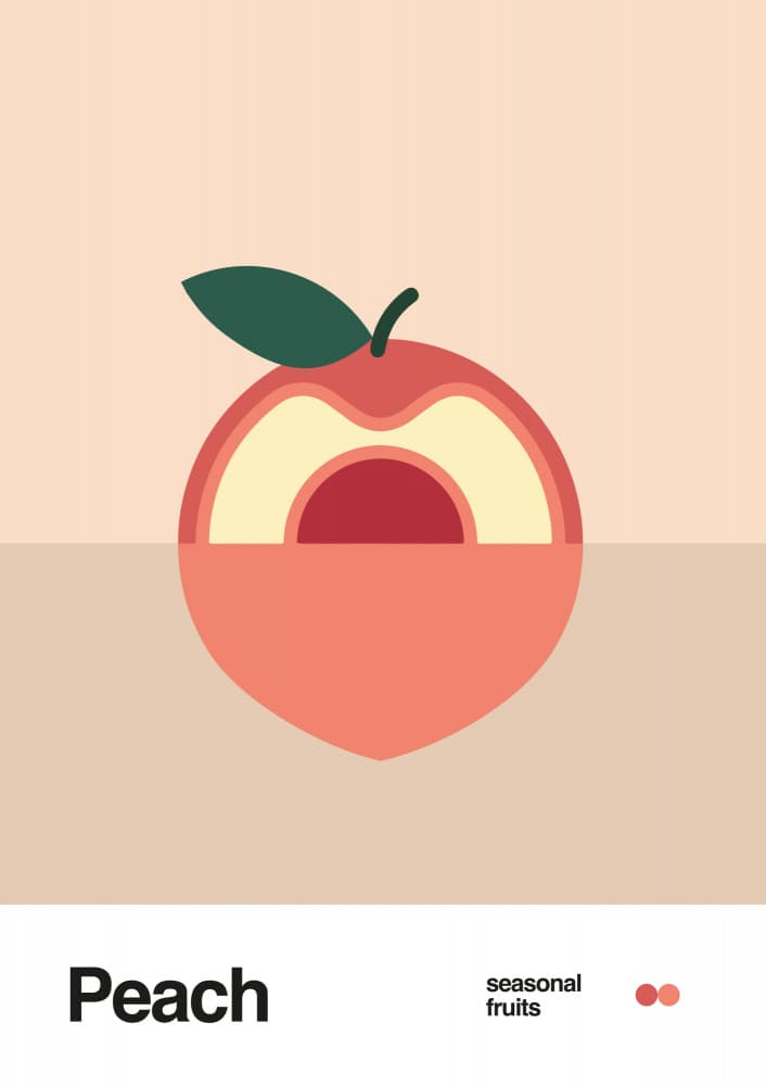 Sweet Halved Peach by David Vineïs — canvas wall art