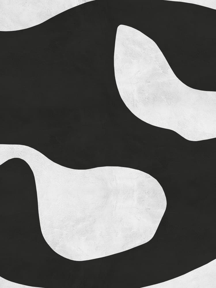 Monochrome Fluid Shapes by Vitor Costa — canvas wall art