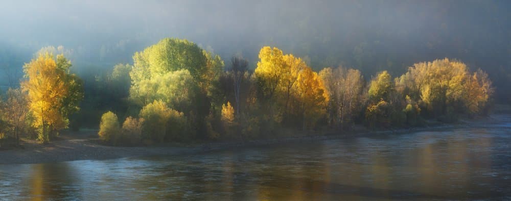 Misty Autumn Glow by Burger Jochen — canvas wall art