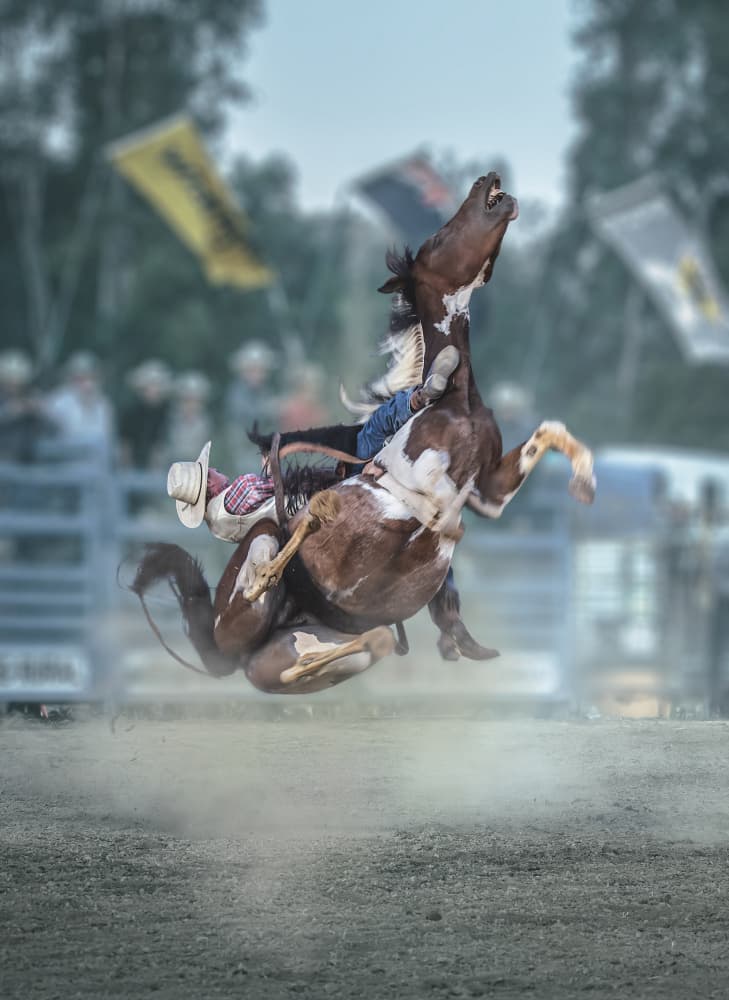 Rodeo Bucking Bronco by Frank Ma — canvas wall art