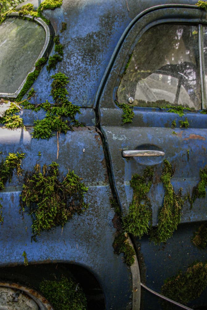 Nature's Blue Car by Ruth Franke — canvas wall art