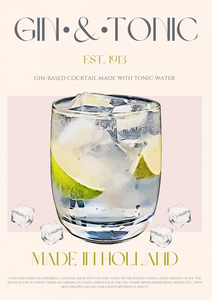 Refreshing Gin Tonic