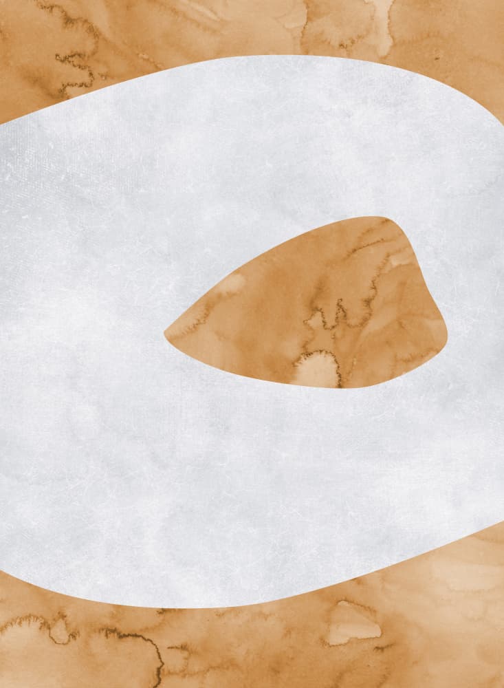 Earthy Organic Shapes by Rosana Laiz Blursbyai — canvas wall art