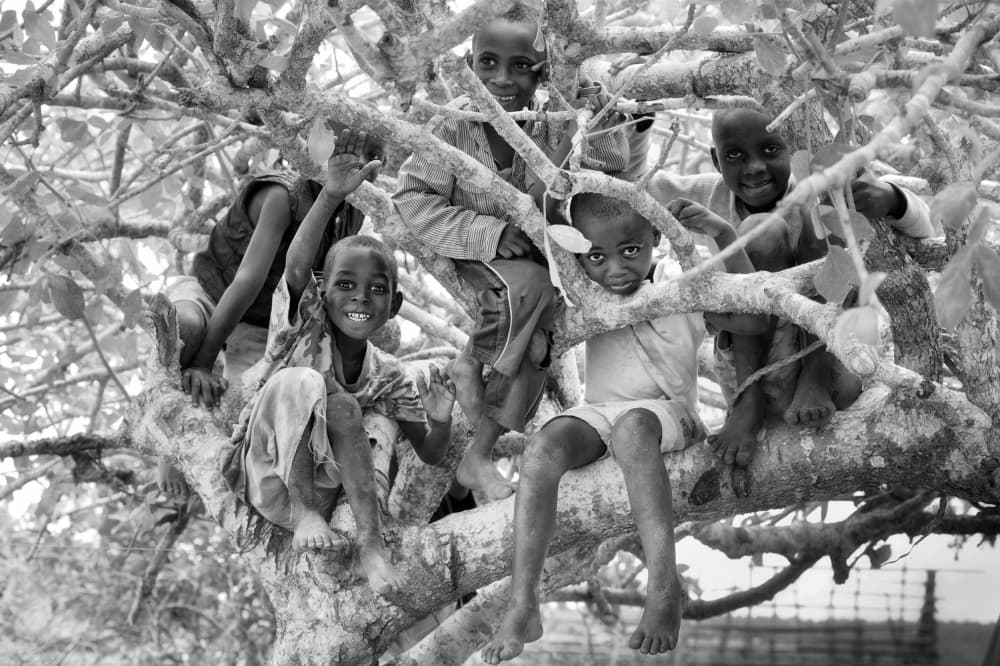 Joyful Kids Tree Climb by Foad Mirzaie — canvas wall art