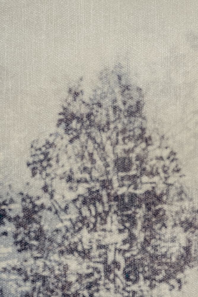 Blurred Tree Silhouette by Imaginative — canvas wall art
