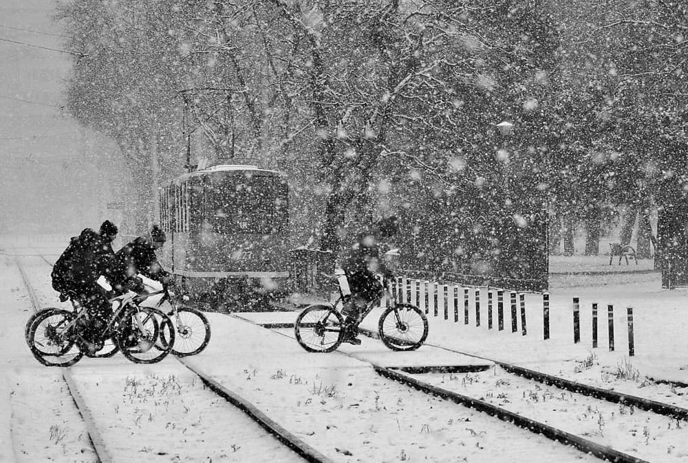 Snowy Urban Cycling by Nicoleta Gabor — canvas wall art