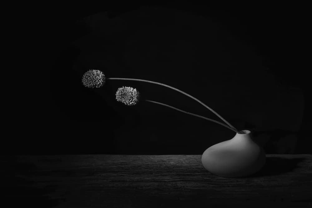 Elegant Floral Still Life by Saskia Dingemans — canvas wall art