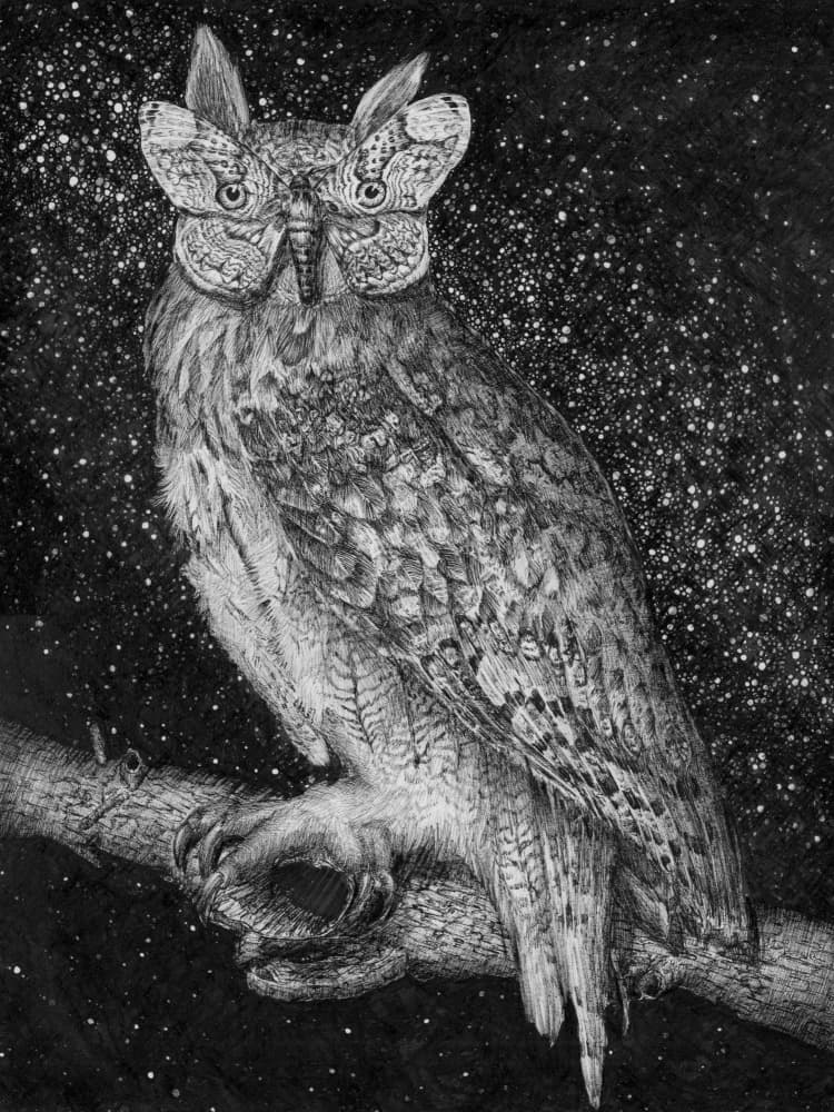 Celestial Night Owl by EC Mazur — canvas wall art