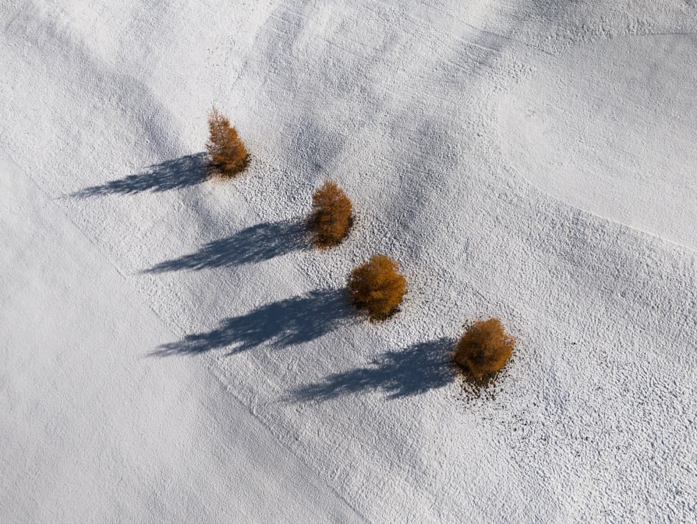 Winter Tree Shadows by Streiff Marcel — canvas wall art