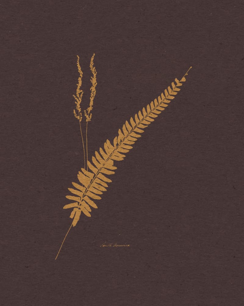 Golden Fern and Grass by Wild Violets — canvas wall art