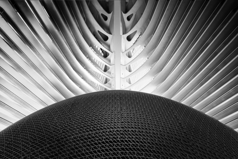 Abstract Architectural Curves by Greetje van Son — canvas wall art