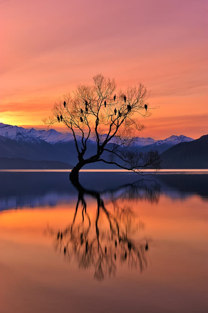 Serene Lake Tree Reflection by Mei Xu — canvas wall art