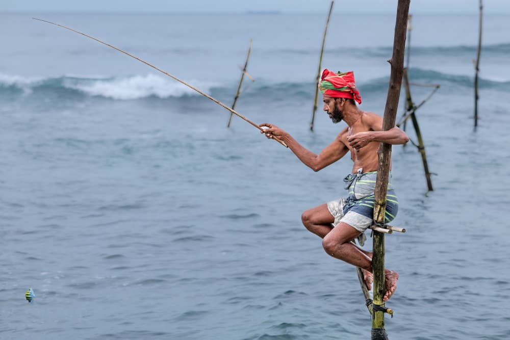 Sri Lankan Stilt Fisherman by Ali Khataw — canvas wall art