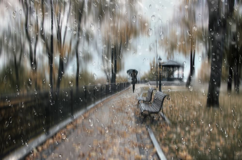 Rainy Autumn Walk by Alexander Kiyashko — canvas wall art