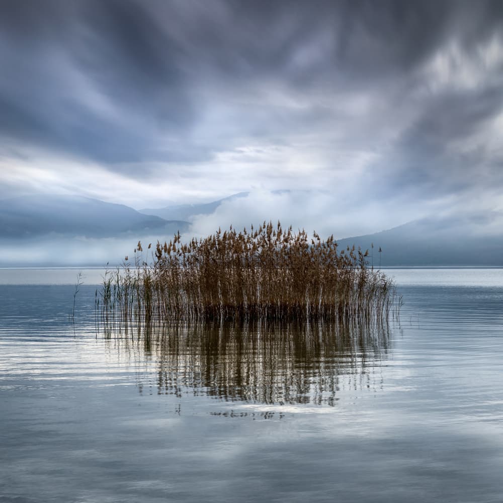 Moody Lake Reeds by George Digalakis — canvas wall art