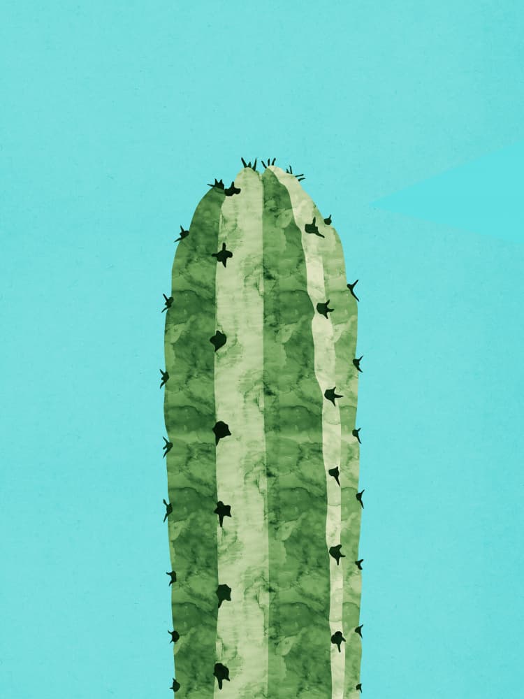 Vibrant Desert Cactus by Vitor Costa — canvas wall art