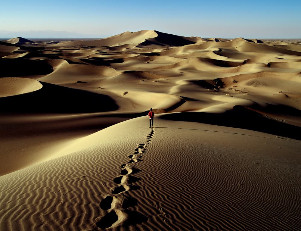 Solitary Desert Journey by Abbas Arabzadeh — canvas wall art