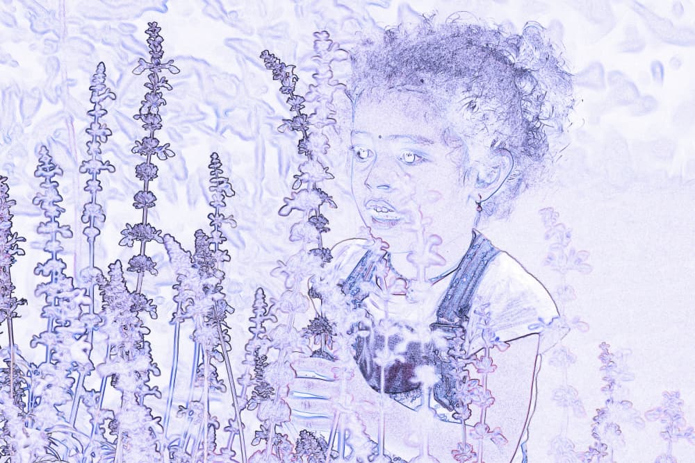 Girl in Lavender Field by Santhosh ch — canvas wall art