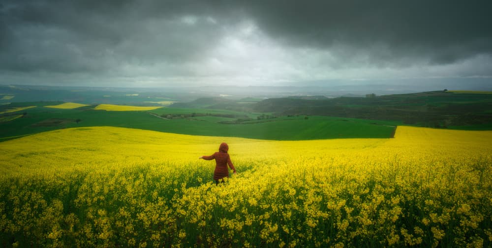 Dramatic Yellow Field Wanderer by Carlos Hernandez Martinez — canvas wall art